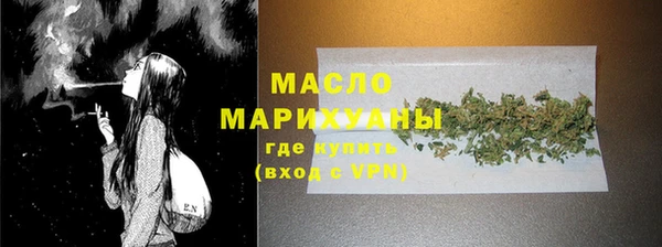 гидра Саяногорск