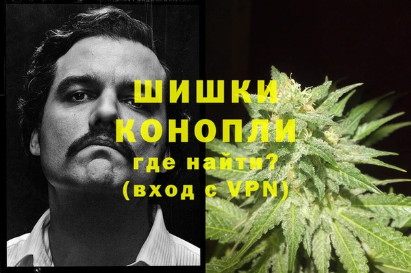 ГАЛЛЮЦИНОГЕННЫЕ ГРИБЫ Алексеевка