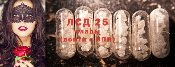 ГАЛЛЮЦИНОГЕННЫЕ ГРИБЫ Алексеевка