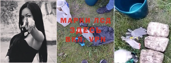 дмт Алзамай
